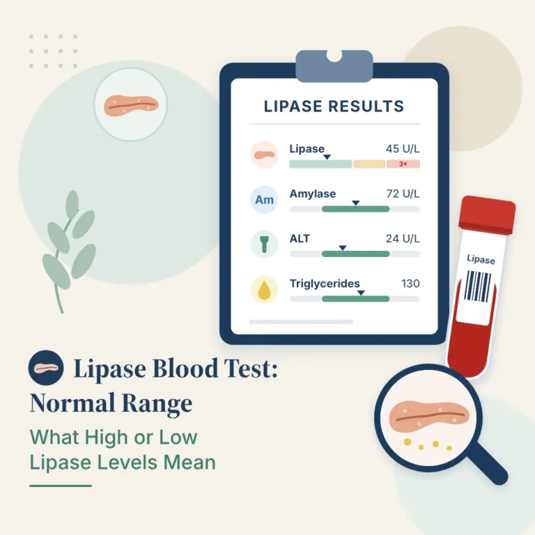 Exame de lipase no sangue: valores de referência e lipase alta na pancreatite
